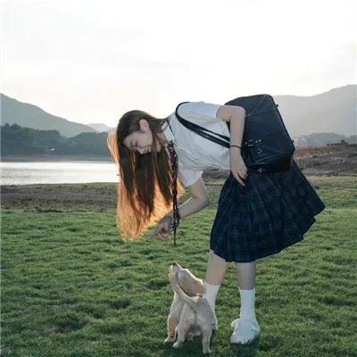 长腿校花与热血教师 在线观看封面